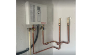 Dual Check Valve