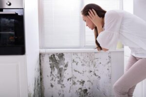 4 Signs You Have a Water Leak in Fort Myers, FL