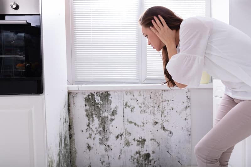 4 Signs You Have a Water Leak in Fort Myers, FL